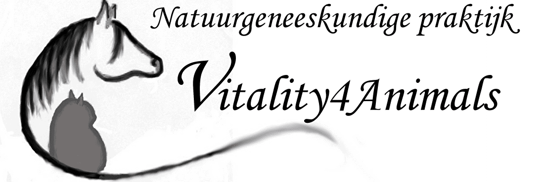 Natuurgeneeskundige praktijk Vitality4animals