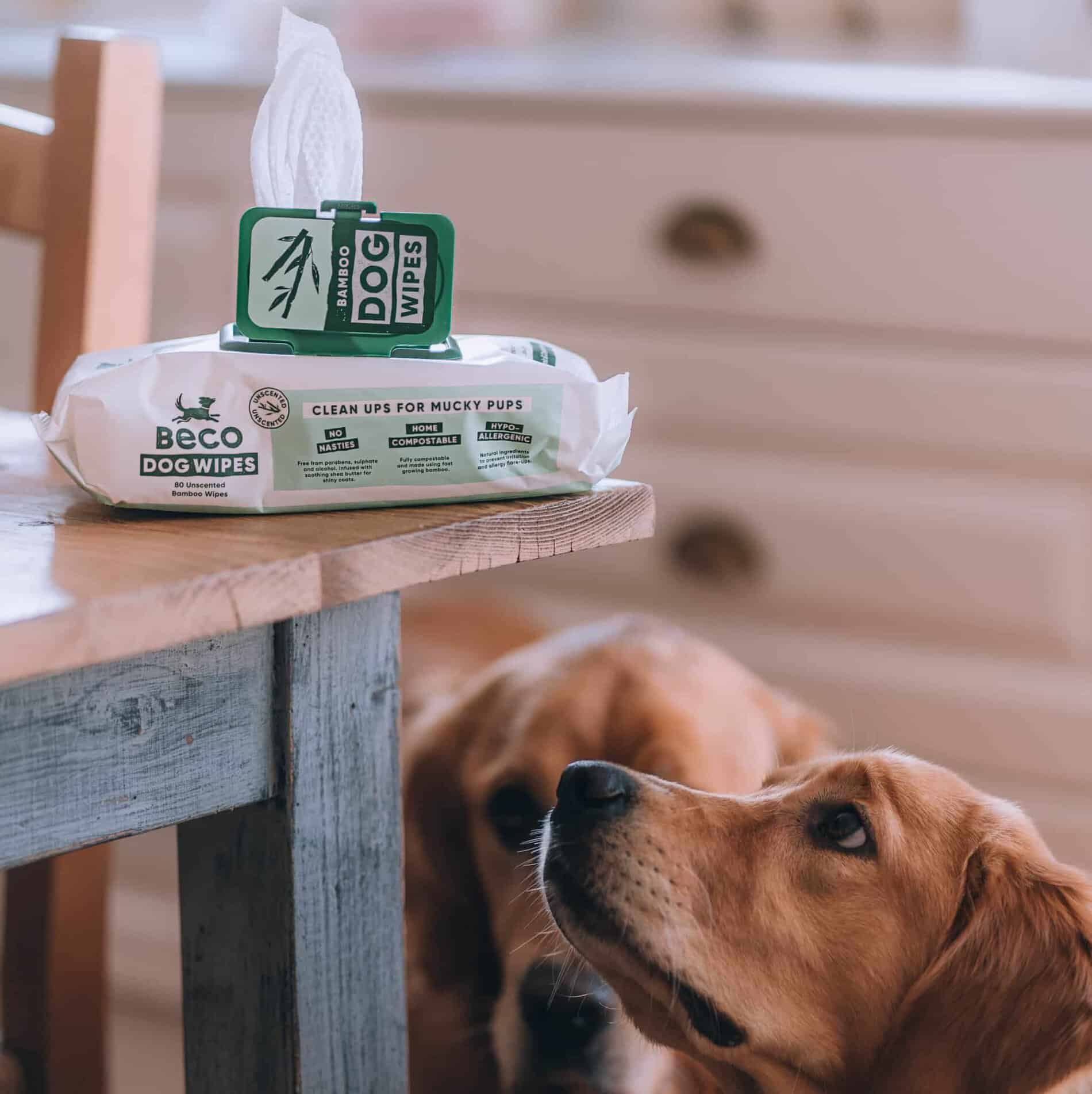 Beco Bamboo Dog Wipes - Geurloos - 80 st - Afbeelding 3