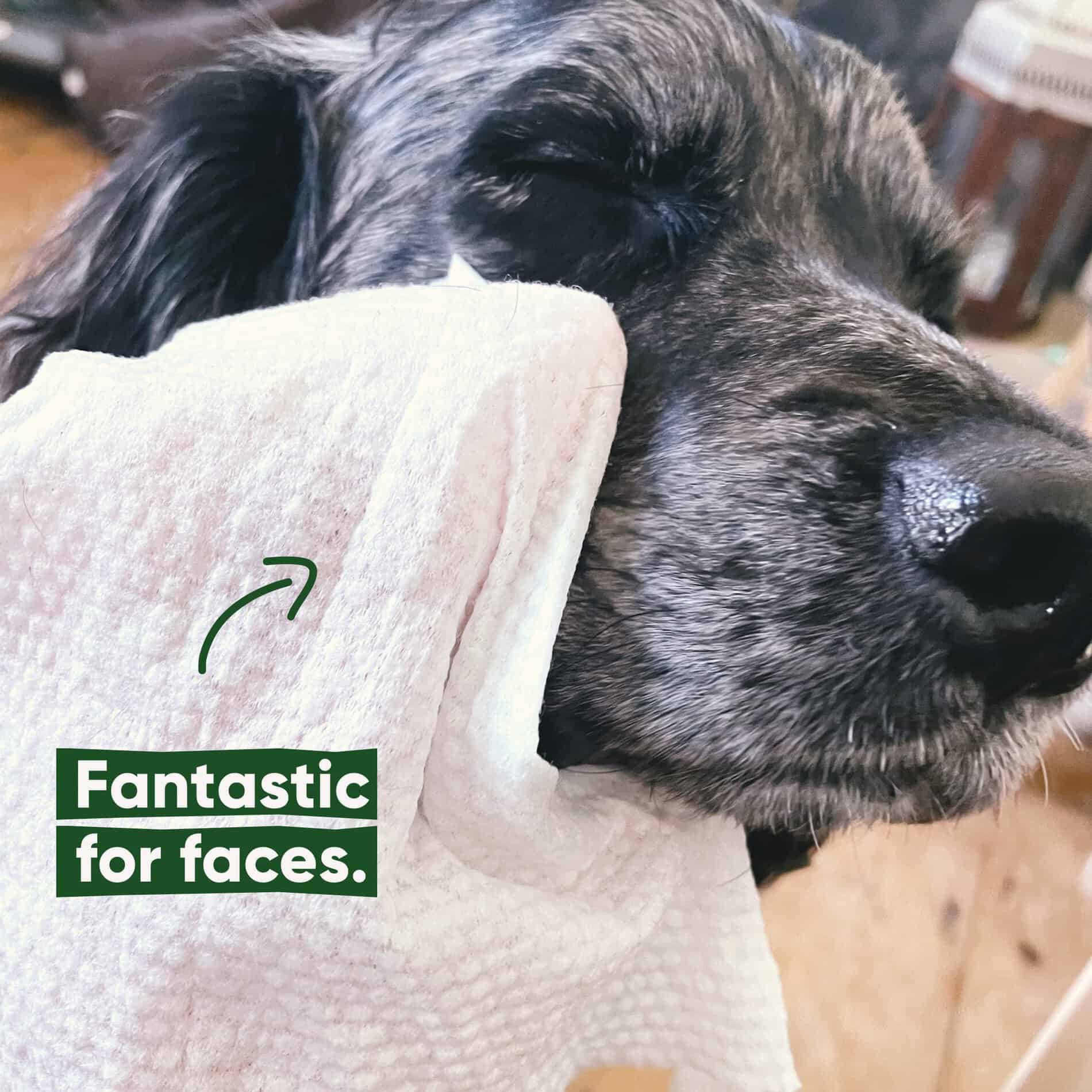 Beco Bamboo Dog Wipes - Geurloos - 80 st - Afbeelding 4