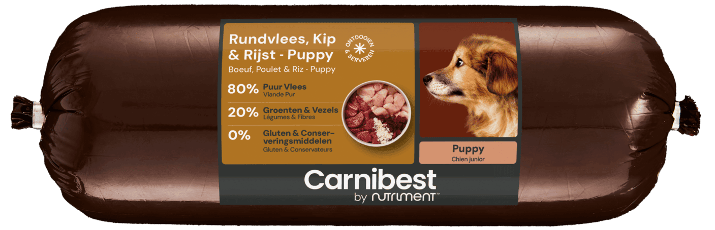 Carnibest Rundvlees, Kip & Rijst Puppy (500gr)
