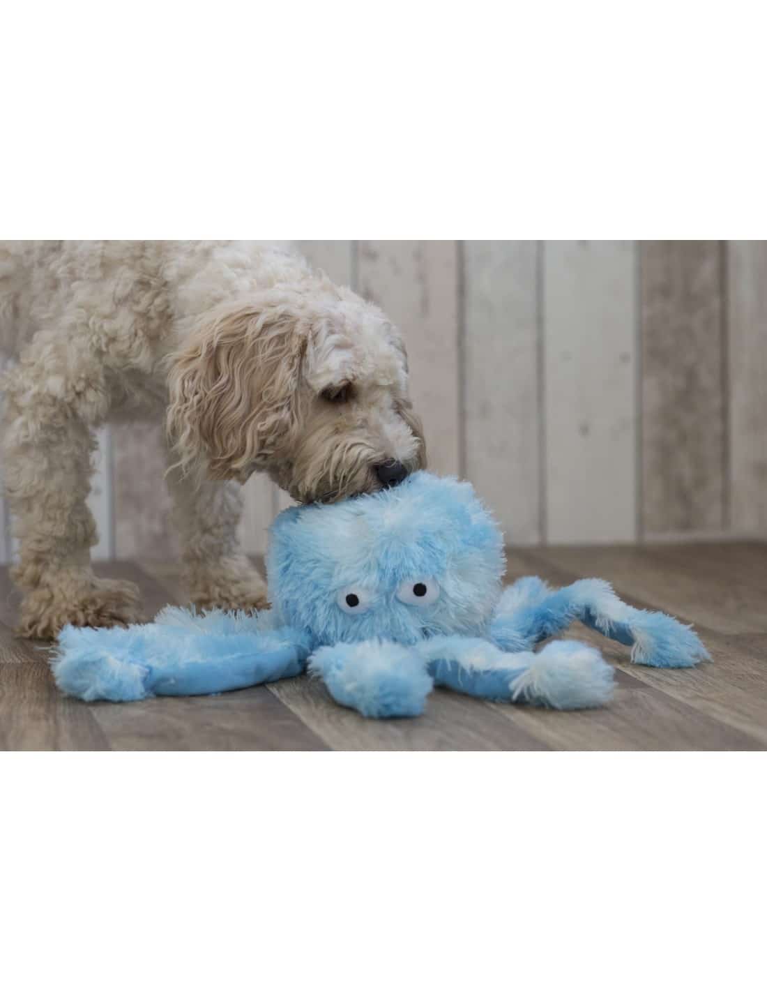 GorPets - Gor Reef Octopus - Afbeelding 4