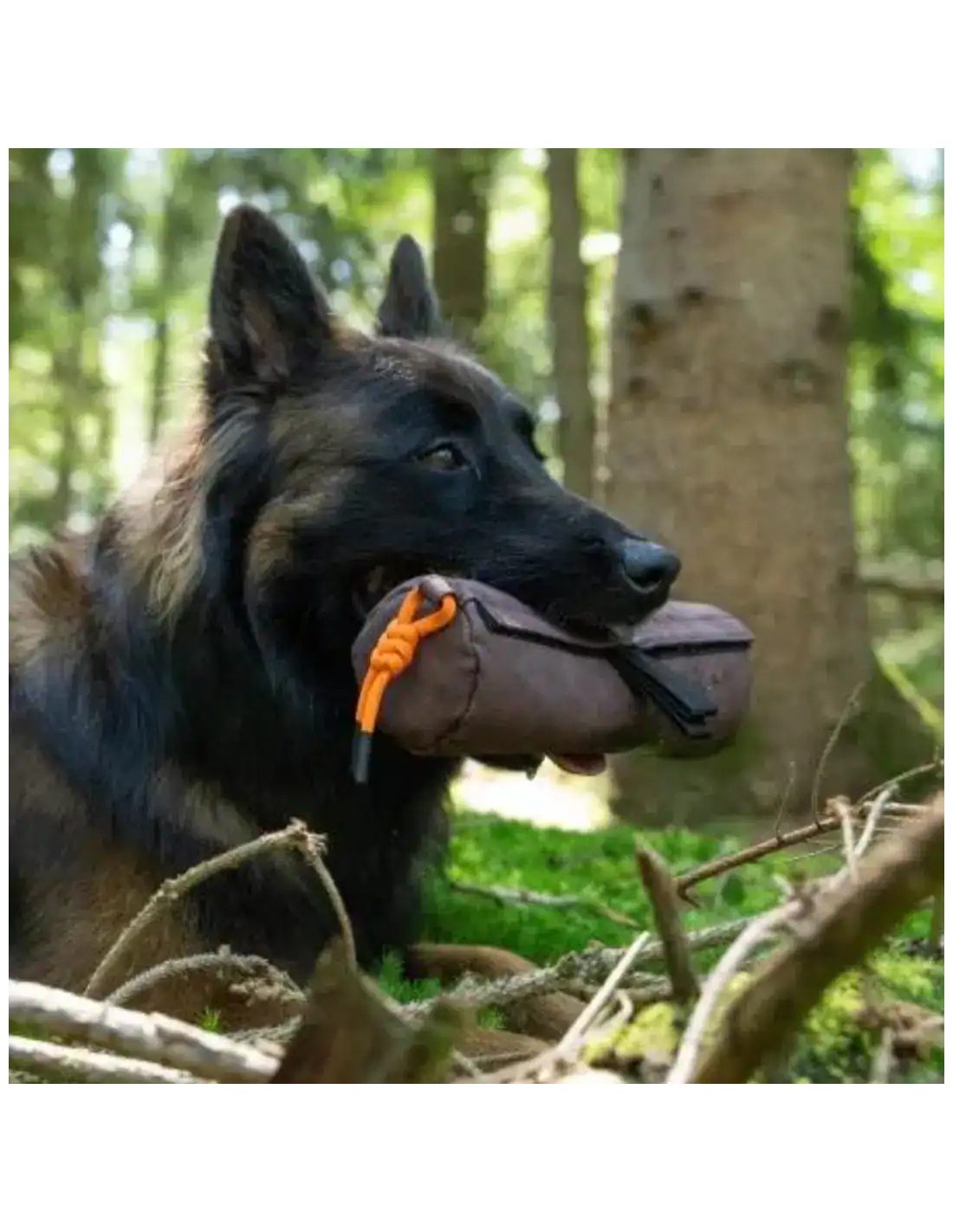 Trendpet - Voerdummy - Afbeelding 6