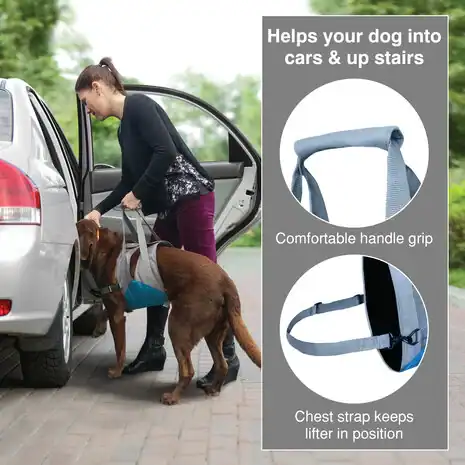 Kurgo Up & About Dog Lifter (Optilharnas) - Afbeelding 3