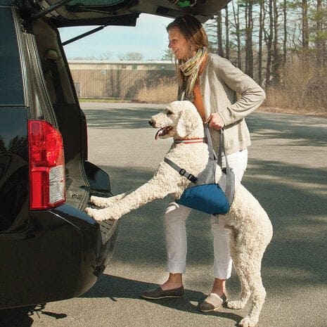 Kurgo Up & About Dog Lifter (Optilharnas) - Afbeelding 4
