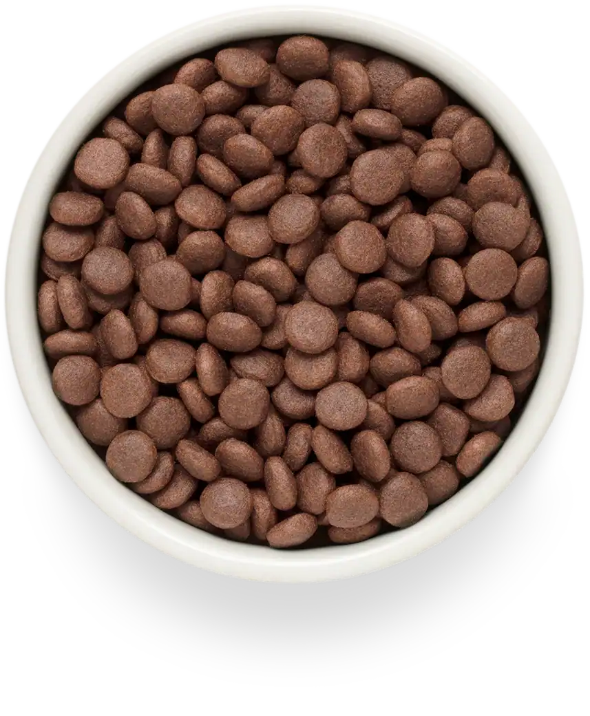 Grandorf Fresh Puppy Lam - Afbeelding 2
